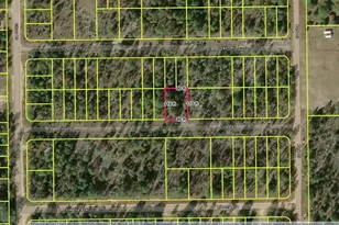 118 Linda Ln, Interlachen, FL 32148 - Photo 1