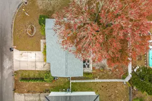 762 Barbara St, Palm Harbor, FL 34684 - Photo 34