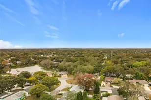 762 Barbara St, Palm Harbor, FL 34684 - Photo 36