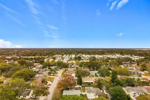 762 Barbara St, Palm Harbor, FL 34684 - Photo 4