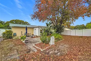 762 Barbara St, Palm Harbor, FL 34684 - Photo 32