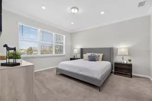 18535 Coastal Shr Ter, Land O Lakes, FL 34638 - Photo 34