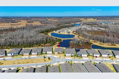 18535 Coastal Shore Terrace, Land O Lakes, FL 34638 - Photo 62