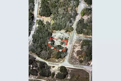 Locust Pass Loop, Ocala, FL 34472 - Photo 1