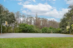 13484 Applerose Ln, Orlando, FL 32824 - Photo 8