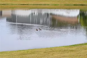 13484 Applerose Ln, Orlando, FL 32824 - Photo 6