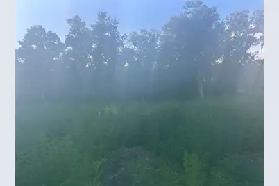 3528 W Nieman Drive, Dunnellon, FL 34433 - Photo 1