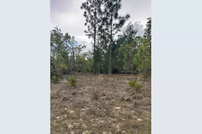 3528 W Nieman Drive, Dunnellon, FL 34433 - Photo 2
