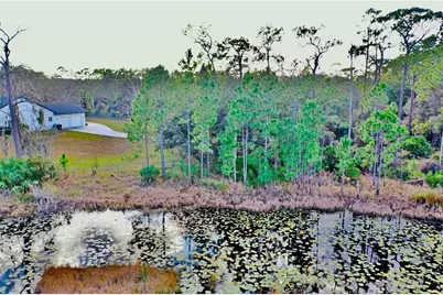 965 Pine Hill Boulevard, Geneva, FL 32732 - Photo 90