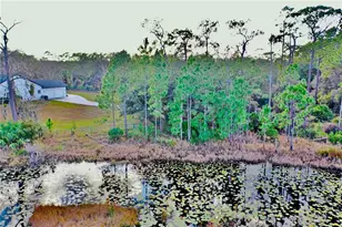 965 Pine Hill Blvd, Geneva, FL 32732 - Photo 90
