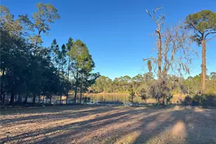 965 Pine Hill Blvd, Geneva, FL 32732 - Photo 50