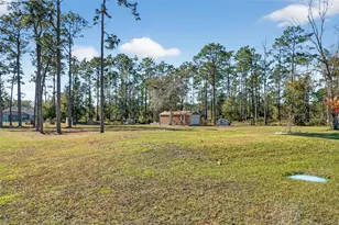 19438 Sheldon St, Orlando, FL 32833 - Photo 58