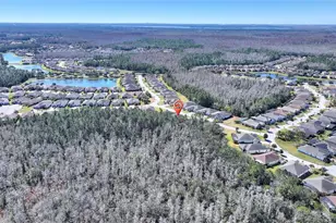 786 Cielo Trail, Kissimmee, FL 34759 - Photo 50