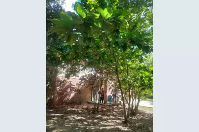 1315 W 9th Street, Lakeland, FL 33805 - Photo 1