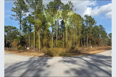 0 Sunset Avenue NW, Dunnellon, FL 34431 - Photo 2
