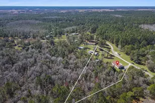 6222 Buck Fever Rd, Polk City, FL 33868 - Photo 28