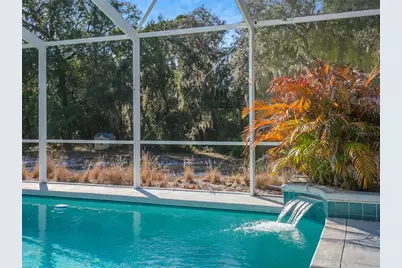 8672 Mary Moser Lane, Lake Wales, FL 33898 - Photo 34