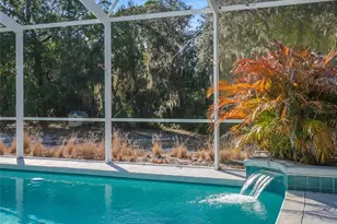 8672 Mary Moser Ln, Lake Wales, FL 33898 - Photo 34