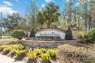 5450 Silver Thistle Ln, Saint Cloud, FL 34772 - Photo 42