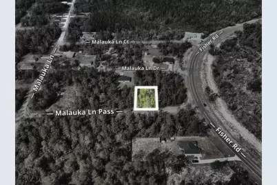 Malauka Lane Pass, Ocklawaha, FL 32179 - Photo 6