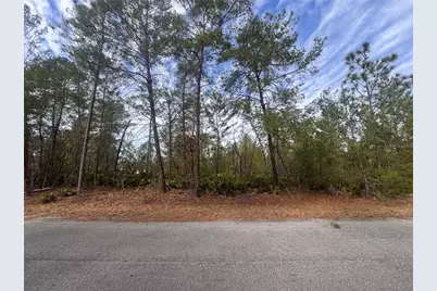 Malauka Lane Pass, Ocklawaha, FL 32179 - Photo 8