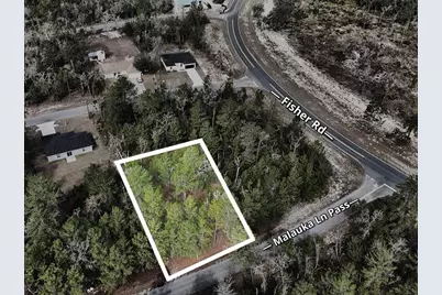 Malauka Lane Pass, Ocklawaha, FL 32179 - Photo 2