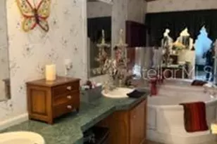 13921 Pine Meadow Rd, Kathleen, FL 33849 - Photo 16
