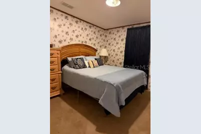 13921 Pine Meadow Road, Kathleen, FL 33849 - Photo 22