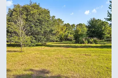 13921 Pine Meadow Road, Kathleen, FL 33849 - Photo 24