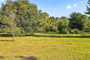 13921 Pine Meadow Rd, Kathleen, FL 33849 - Photo 24