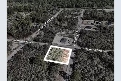 Fisher Pass, Ocklawaha, FL 32179 - Photo 6