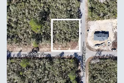 Fisher Pass, Ocklawaha, FL 32179 - Photo 4