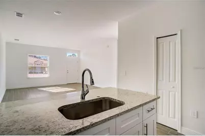 1578 Cumin Drive, Kissimmee, FL 34759 - Photo 8