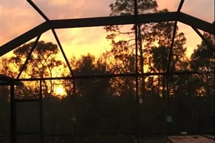 2901 Sunset Vista Ct, Kissimmee, FL 34747 - Photo 38