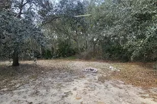 1408 Hillsborough Way, Poinciana, FL 34759 - Photo 20
