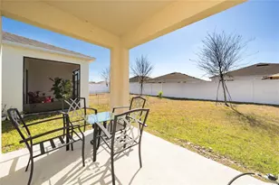 955 Bear Hammock Dr, Umatilla, FL 32784 - Photo 30