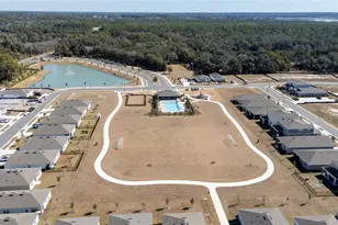 955 Bear Hammock Dr, Umatilla, FL 32784 - Photo 6