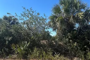 2440 Baron Ave SW, Palm Bay, FL 32908 - Photo 1