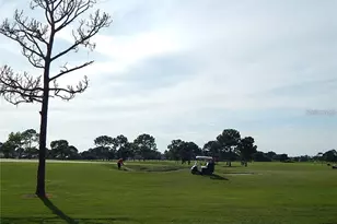 14341 Fredricksburg Dr, Orlando, FL 32837 - Photo 26