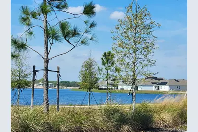 3049 Ella Way, Saint Cloud, FL 34771 - Photo 6