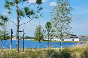 3049 Ella Wy, Saint Cloud, FL 34771 - Photo 6