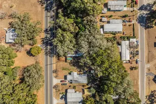 10356 SE Hwy 42, Summerfield, FL 34491 - Photo 16