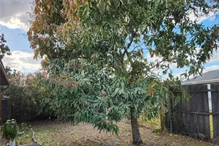 713 Bear Way, Kissimmee, FL 34759 - Photo 12