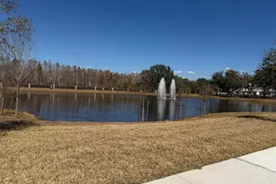 11381 Nona Sound St, Orlando, FL 32832 - Photo 24