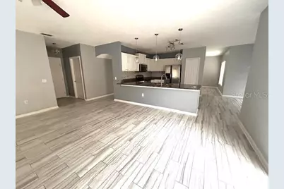 843 Ognon Court, Kissimmee, FL 34759 - Photo 4