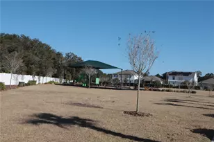 2006 Education St, Saint Cloud, FL 34771 - Photo 12