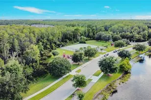 10825 Spider Lily Dr, Orlando, FL 32832 - Photo 14