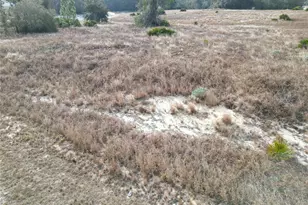 1319 Hillsborough Ln, Kissimmee, FL 34759 - Photo 1