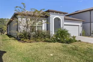 36887 Highland Mdws Ct, Zephyrhills, FL 33542 - Photo 1