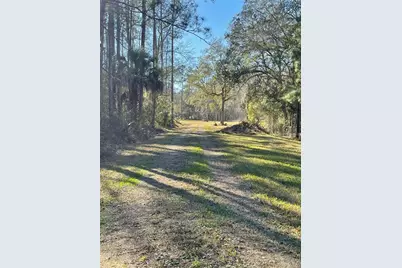 10379 NE Highway 314, Silver Springs, FL 34488 - Photo 6